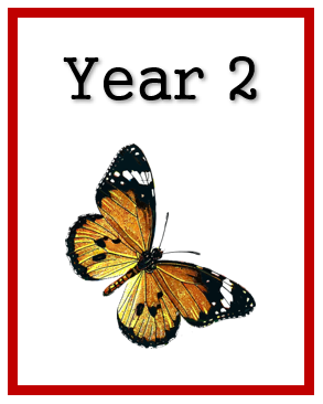 Year 2 (ages 7 to 8)