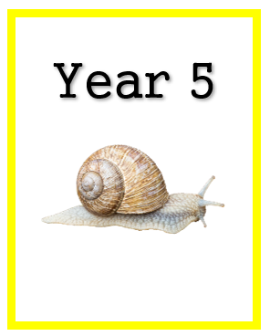 Year 5 (ages 10 to 11)
