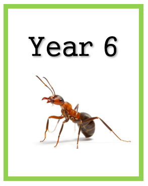 Year 6 (ages 11 to 12)