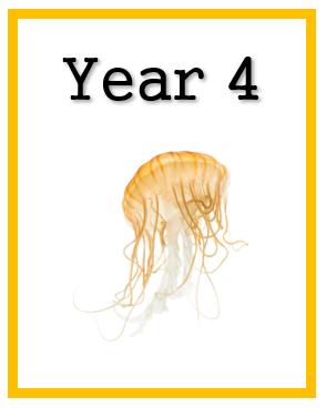 Year 4 (ages 9 to 10)