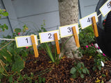 Year 1 Mathematics Lesson Plans