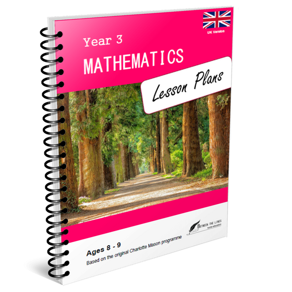 Year 3 Mathematics Lesson Plans