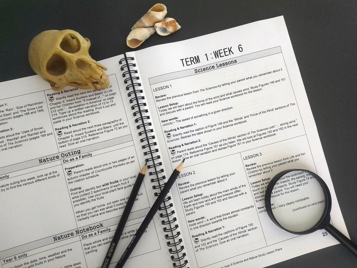 Year 6 Science & Nature Study Lesson Plans – Between the Lines Home ...